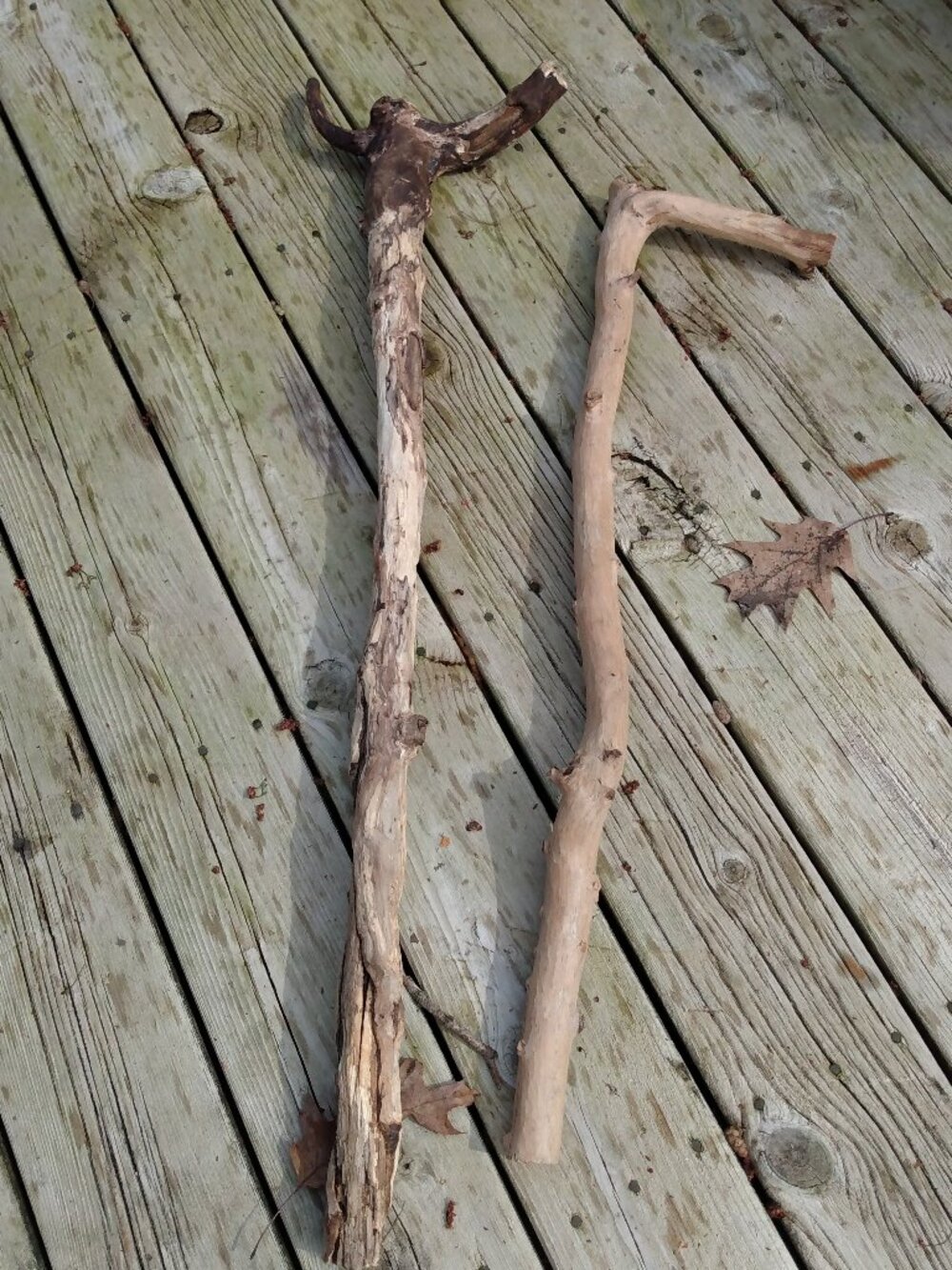 2 Real Wood Tree Limbs Walking Garden Rustic Accent Taxidermy Reptile Cage
